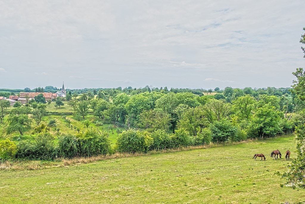 View on Grootloon before an approaching summer thunderstorm